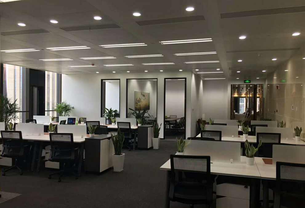 鲁能国际中心