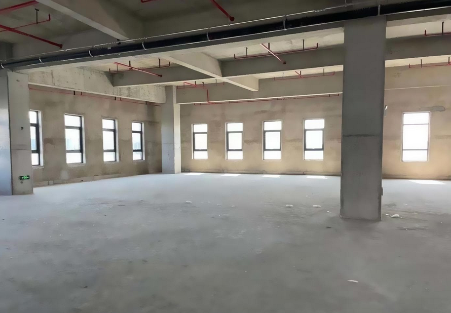 自贸壹号