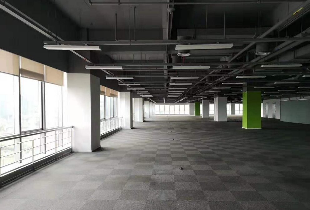 星创园