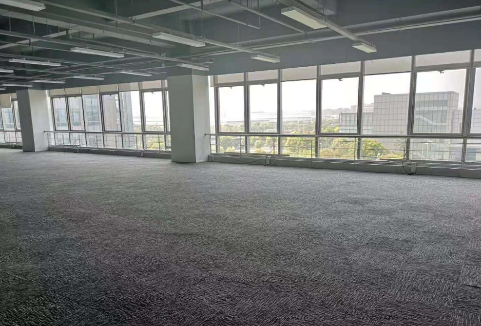 星创园