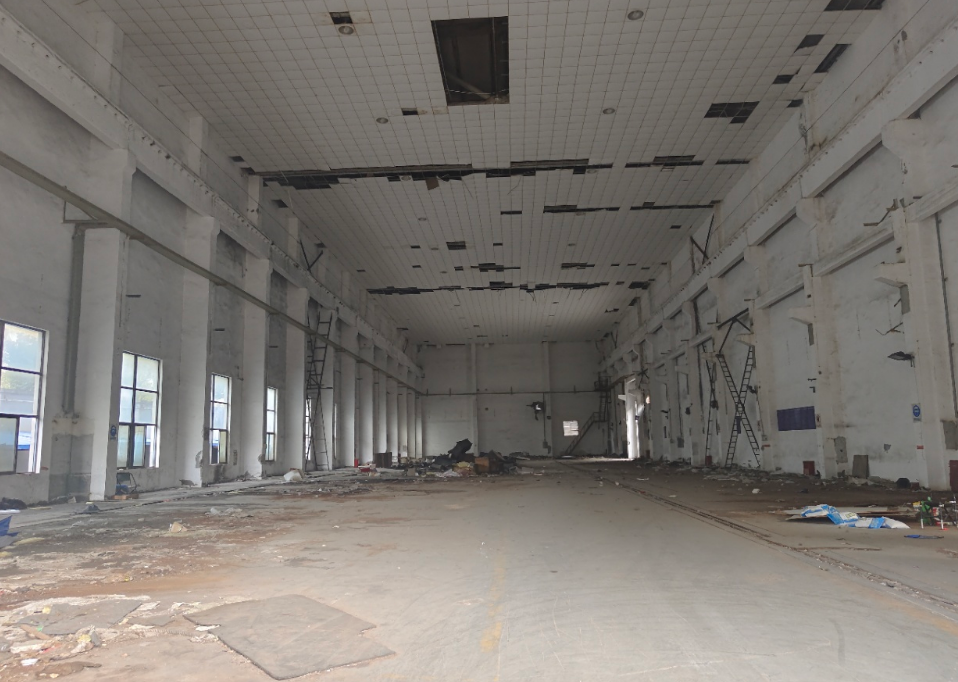 旷野乐都255 旷野乐都255