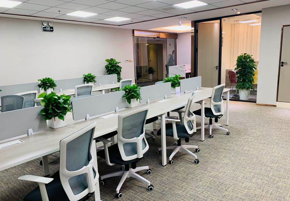 张江人工智能岛