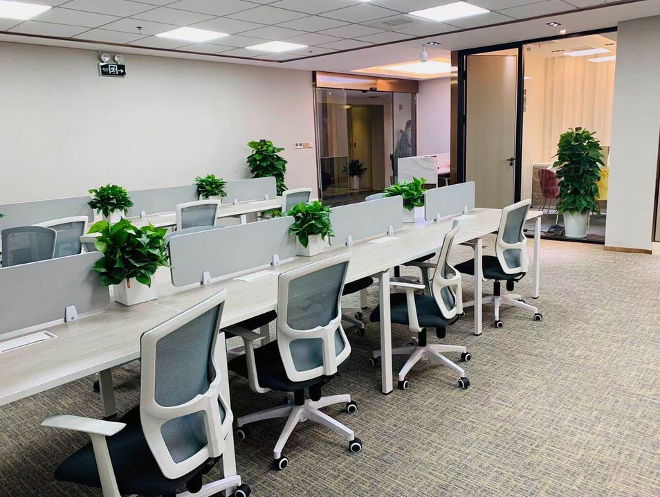 张江人工智能岛