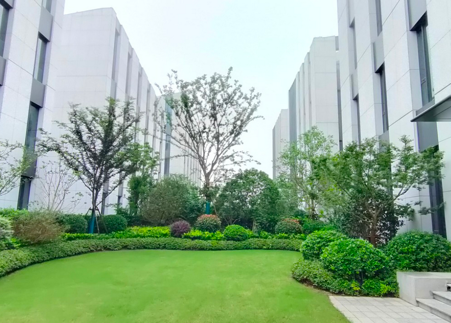 星月御中心图片 星月御中心图片