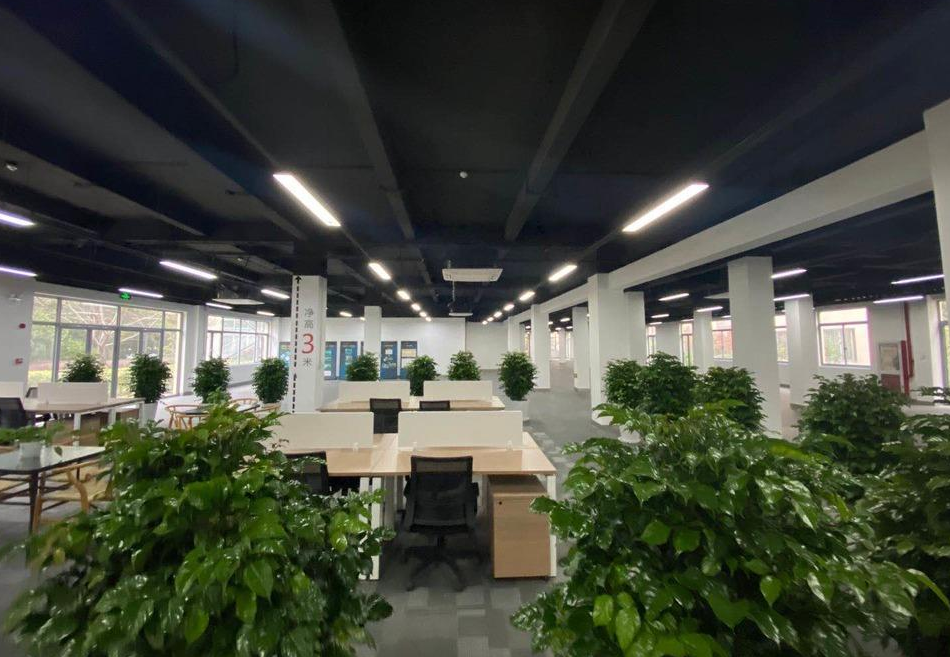 盛创中心 500㎡ 精装修