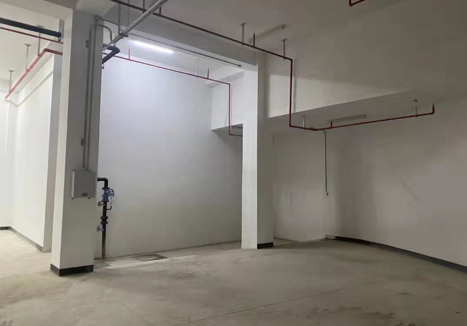 张江人工智能岛