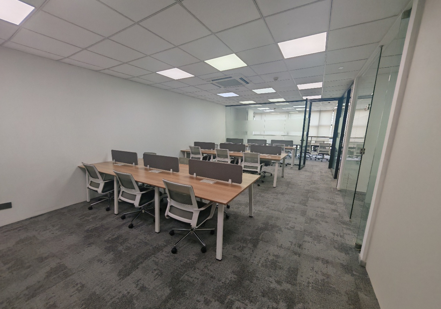 张江集电港 张江集电港