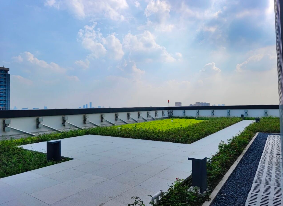 云芯科创中心办公室图 云芯科创中心办公室图