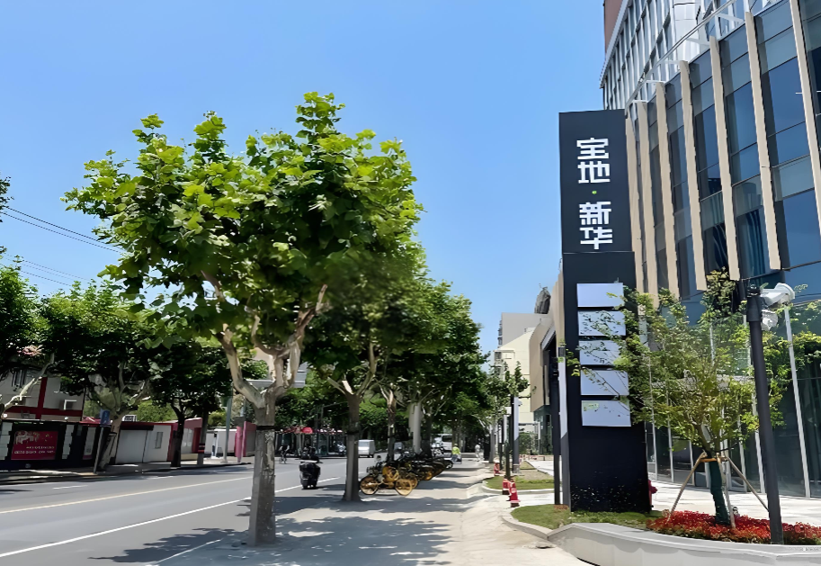 宝地新华